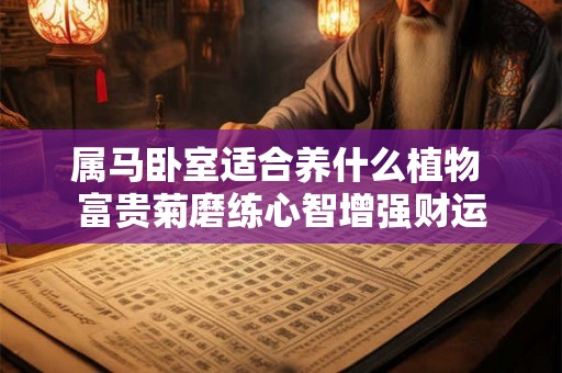 属马卧室适合养什么植物 富贵菊磨练心智增强财运