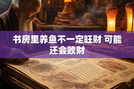 书房里养鱼不一定旺财 可能还会败财
