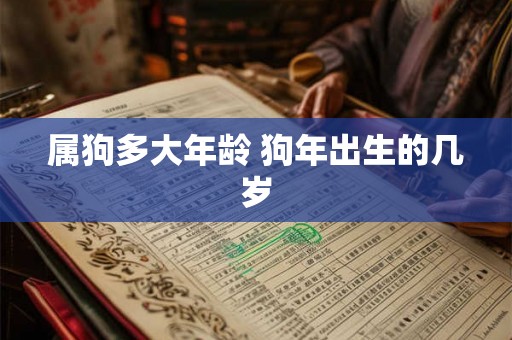 属狗多大年龄 狗年出生的几岁