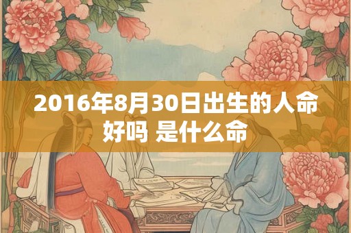 2016年8月30日出生的人命好吗 是什么命
