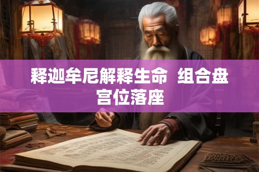 释迦牟尼解释生命 组合盘宫位落座 释迦牟尼解释生命 组合盘宫位落座