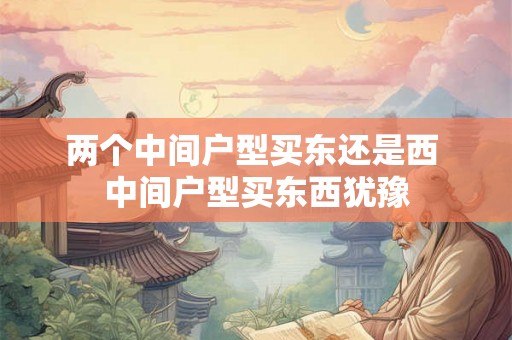 两个中间户型买东还是西 中间户型买东西犹豫