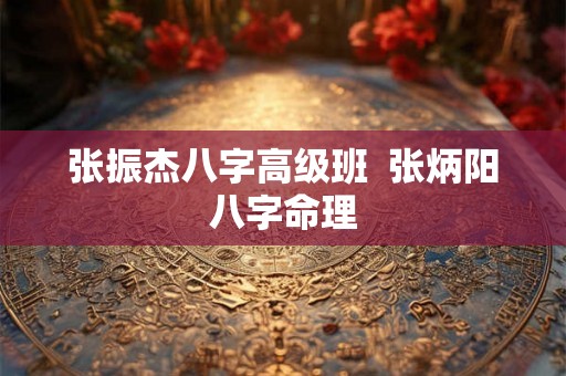 张振杰八字高级班  张炳阳八字命理