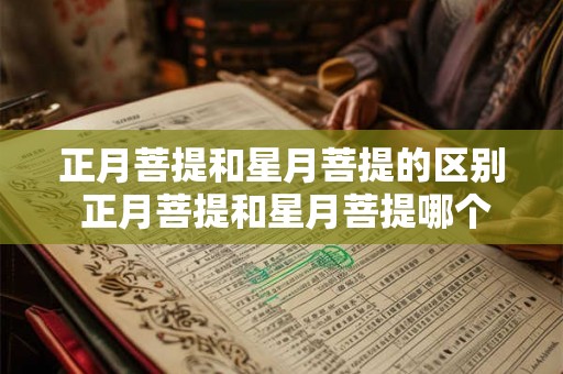 正月菩提和星月菩提的区别 正月菩提和星月菩提哪个好