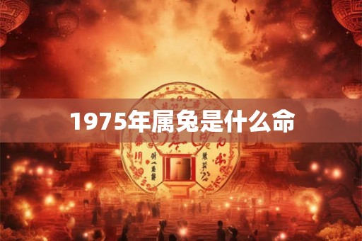 1975年属兔是什么命