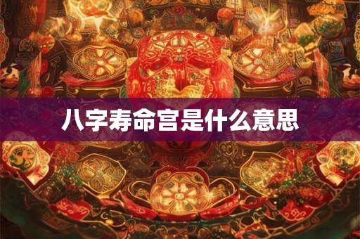 八字寿命宫是什么意思