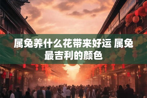 属兔养什么花带来好运 属兔最吉利的颜色
