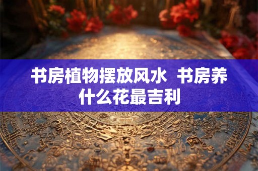 书房植物摆放风水  书房养什么花最吉利