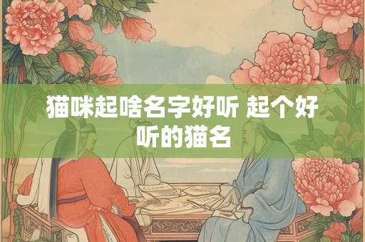 猫咪起啥名字好听 起个好听的猫名