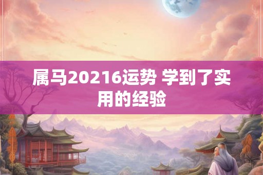 属马20216运势 学到了实用的经验