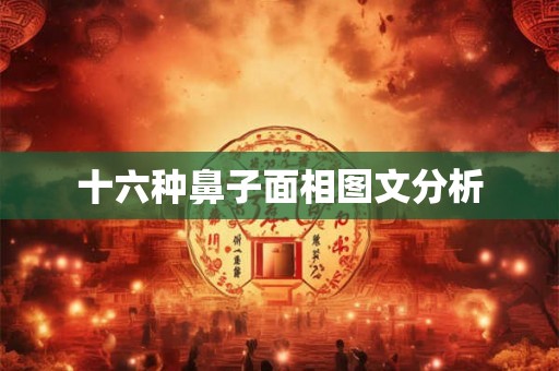 十六种鼻子面相图文分析