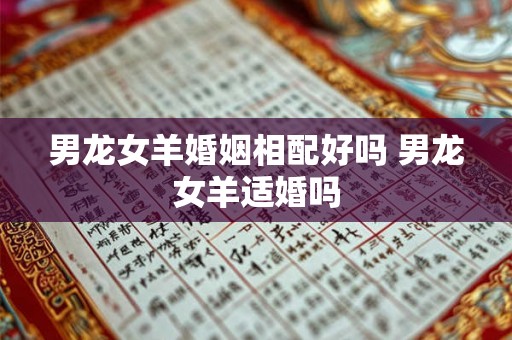 男龙女羊婚姻相配好吗 男龙女羊适婚吗