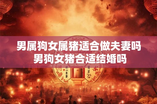 男属狗女属猪适合做夫妻吗 男狗女猪合适结婚吗