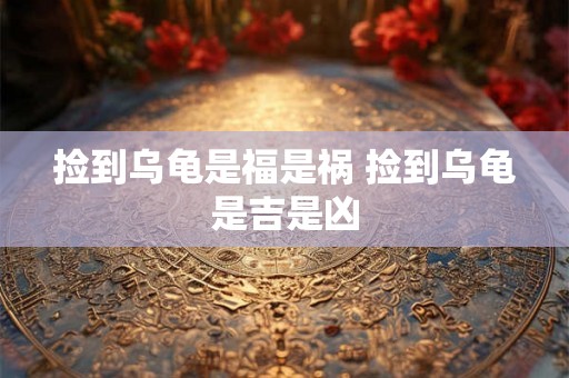 捡到乌龟是福是祸 捡到乌龟是吉是凶 捡到乌龟是福是祸 捡到乌龟是吉是凶