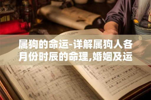 属狗的命运-详解属狗人各月份时辰的命理,婚姻及运势等 属狗的命运-详解属狗人各月份时辰的命理,婚姻及运势等