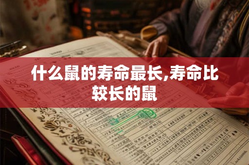 什么鼠的寿命最长,寿命比较长的鼠