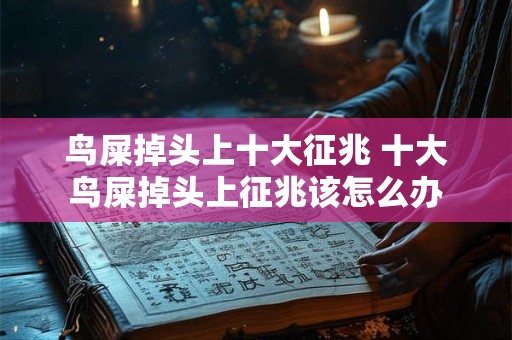 鸟屎掉头上十大征兆 十大鸟屎掉头上征兆该怎么办 鸟屎掉头上十大征兆 十大鸟屎掉头上征兆该怎么办