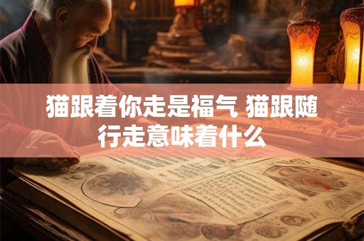 猫跟着你走是福气 猫跟随行走意味着什么 猫跟着你走是福气 猫跟随行走意味着什么