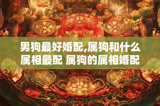男狗最好婚配,属狗和什么属相最配 属狗的属相婚配表大全