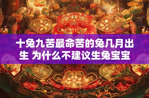 十兔九苦最命苦的兔几月出生 为什么不建议生兔宝宝