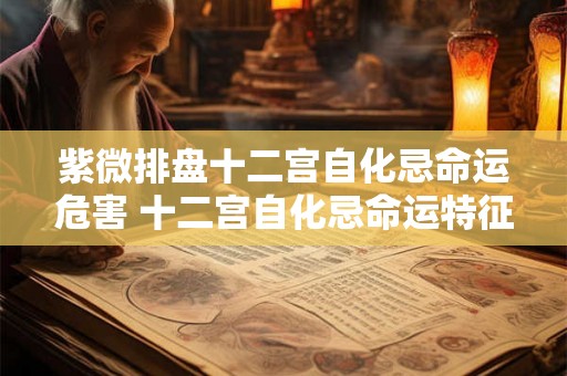 紫微排盘十二宫自化忌命运危害 十二宫自化忌命运特征
