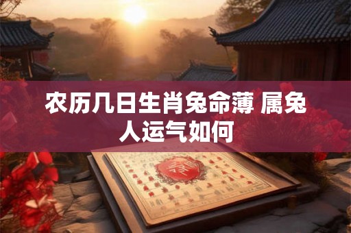 农历几日生肖兔命薄 属兔人运气如何