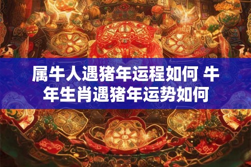 属牛人遇猪年运程如何 牛年生肖遇猪年运势如何