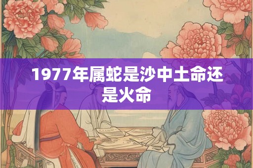 1977年属蛇是沙中土命还是火命