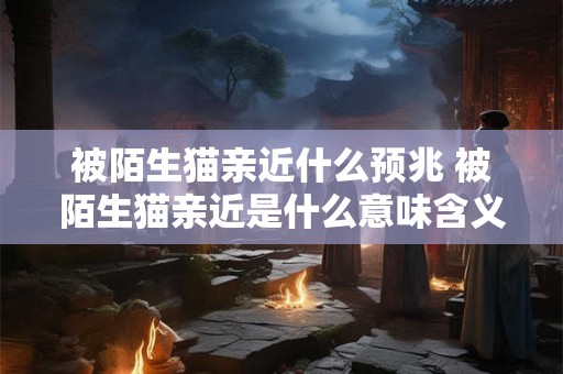 被陌生猫亲近什么预兆 被陌生猫亲近是什么意味含义与原本的大意相同 被陌生猫亲近什么预兆 被陌生猫亲近是什么意味含义与原本的大意相同