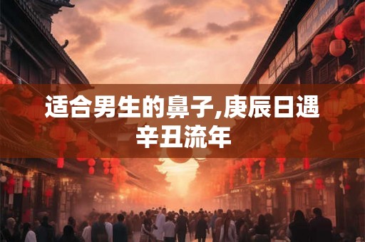 适合男生的鼻子,庚辰日遇辛丑流年