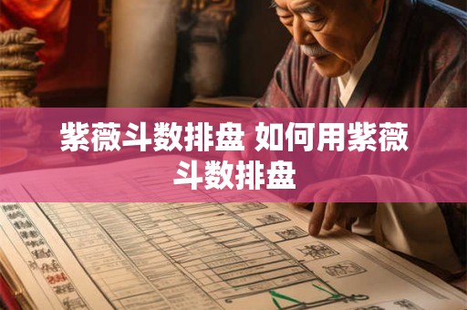 紫薇斗数排盘 如何用紫薇斗数排盘