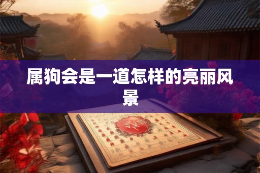 属狗会是一道怎样的亮丽风景
