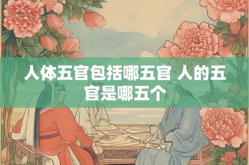 人体五官包括哪五官 人的五官是哪五个