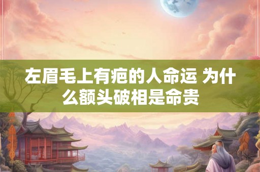 左眉毛上有疤的人命运 为什么额头破相是命贵 左眉毛上有疤的人命运 为什么额头破相是命贵