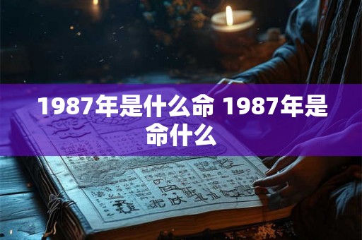 1987年是什么命 1987年是命什么