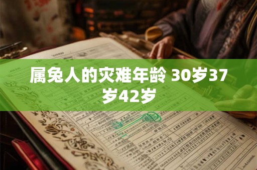 属兔人的灾难年龄 30岁37岁42岁