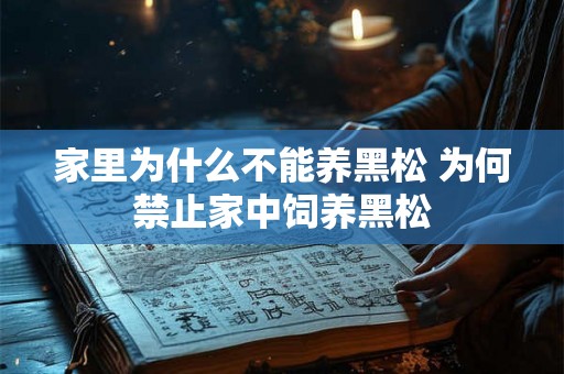 家里为什么不能养黑松 为何禁止家中饲养黑松