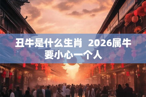 丑牛是什么生肖  2026属牛要小心一个人