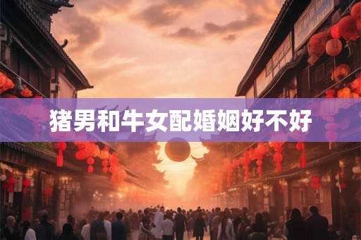 猪男和牛女配婚姻好不好
