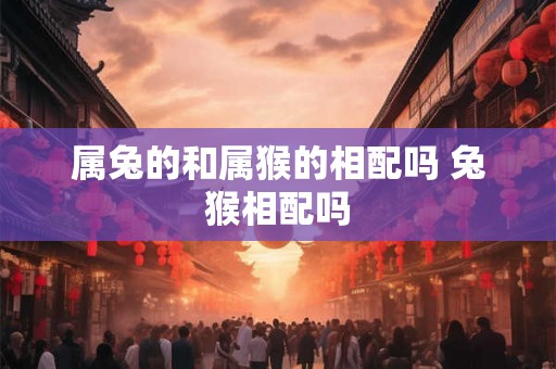 属兔的和属猴的相配吗 兔猴相配吗