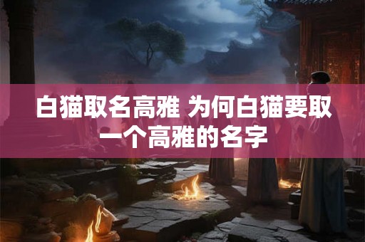 白猫取名高雅 为何白猫要取一个高雅的名字