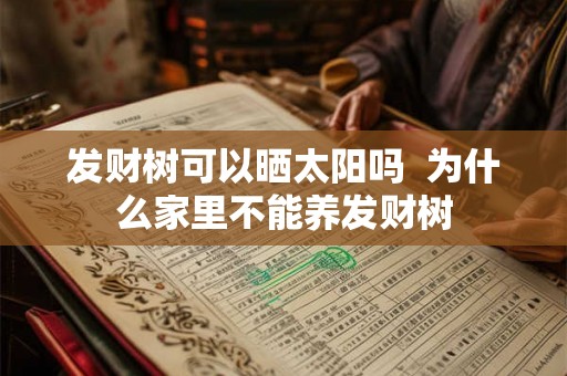 发财树可以晒太阳吗  为什么家里不能养发财树