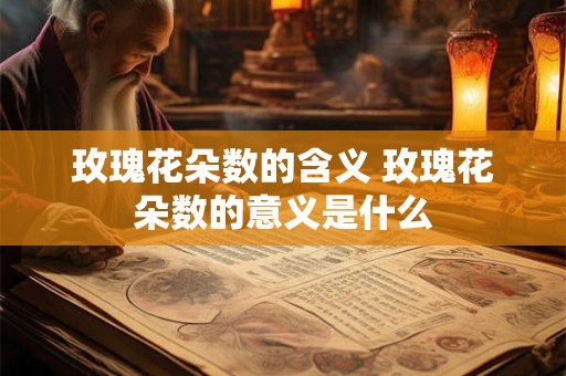 玫瑰花朵数的含义 玫瑰花朵数的意义是什么