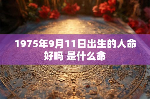 1975年9月11日出生的人命好吗 是什么命