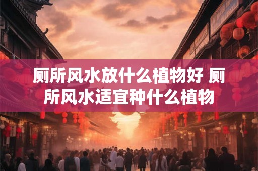 厕所风水放什么植物好 厕所风水适宜种什么植物