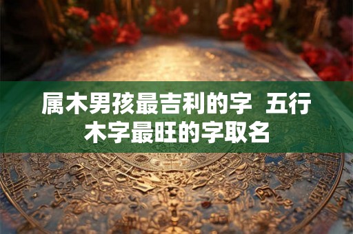 属木男孩最吉利的字 五行木字最旺的字取名 属木男孩最吉利的字 五行木字最旺的字取名