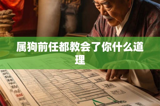 属狗前任都教会了你什么道理 属狗前任都教会了你什么道理