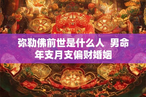 弥勒佛前世是什么人  男命年支月支偏财婚姻