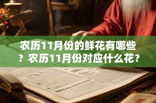 农历11月份的鲜花有哪些?农历11月份对应什么花? 农历11月份的鲜花有哪些?农历11月份对应什么花?