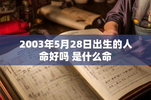 2003年5月28日出生的人命好吗 是什么命